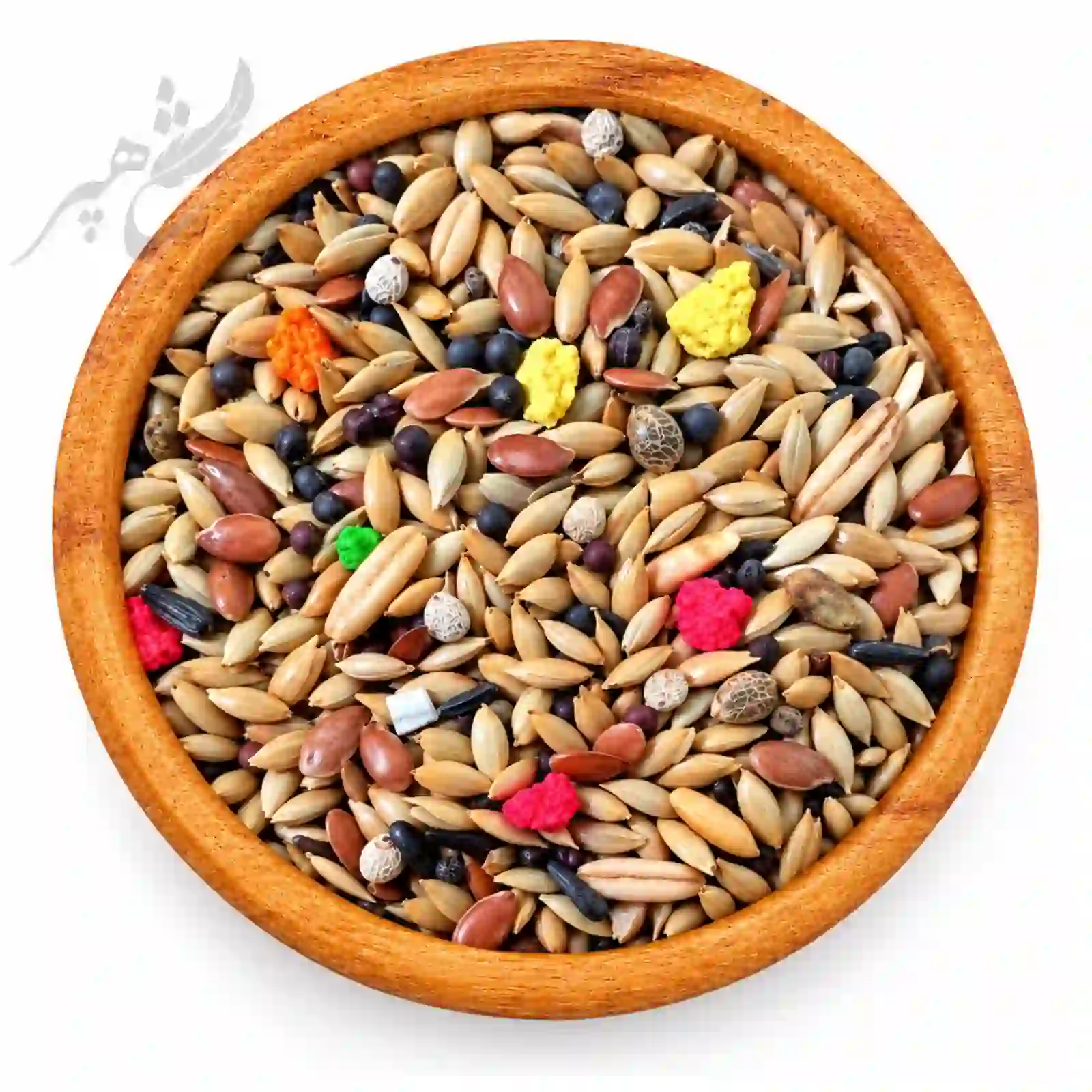 IMG_0736 دان روزانه قناری