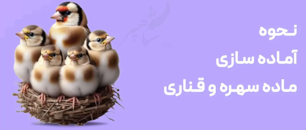 نحوه آماده سازی ماده