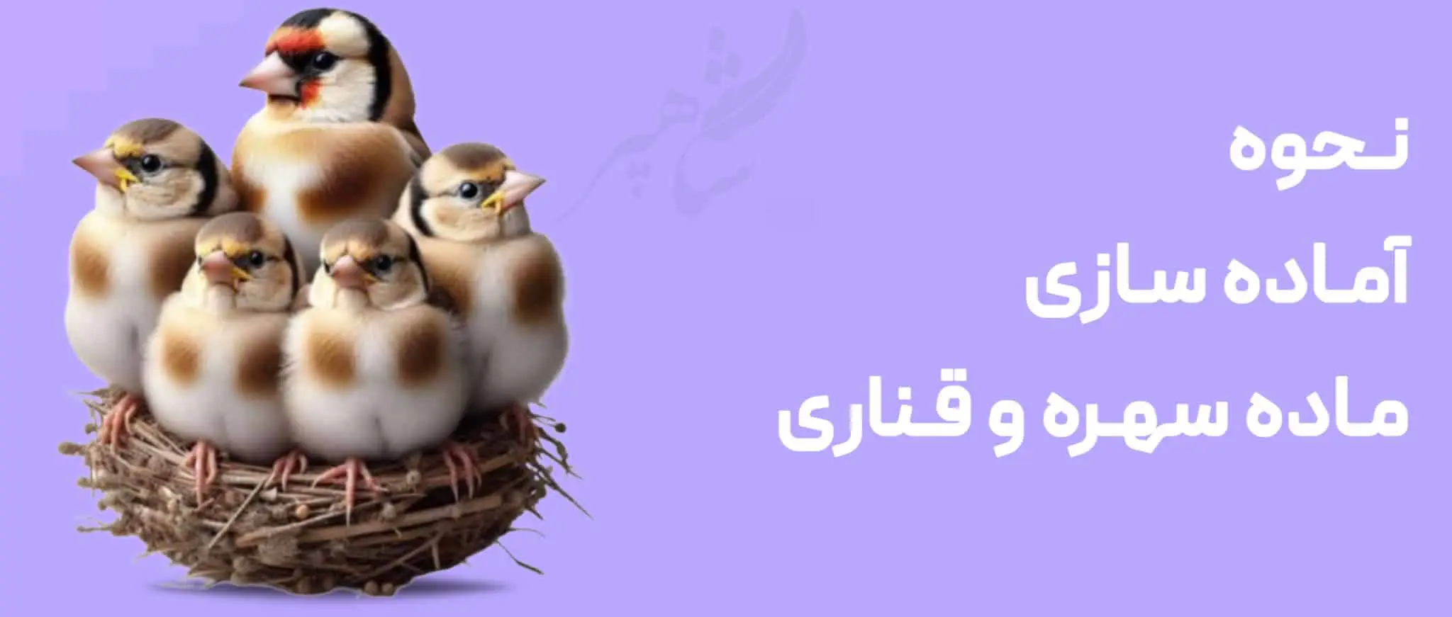 نحوه آماده سازی ماده