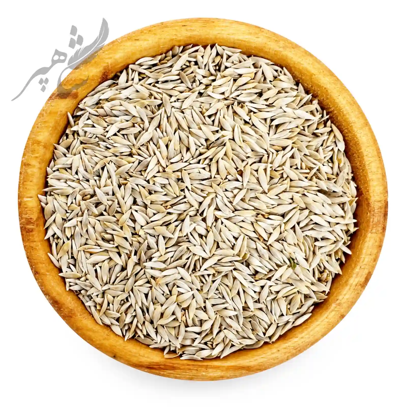 IMG_1171 تخم کاهو