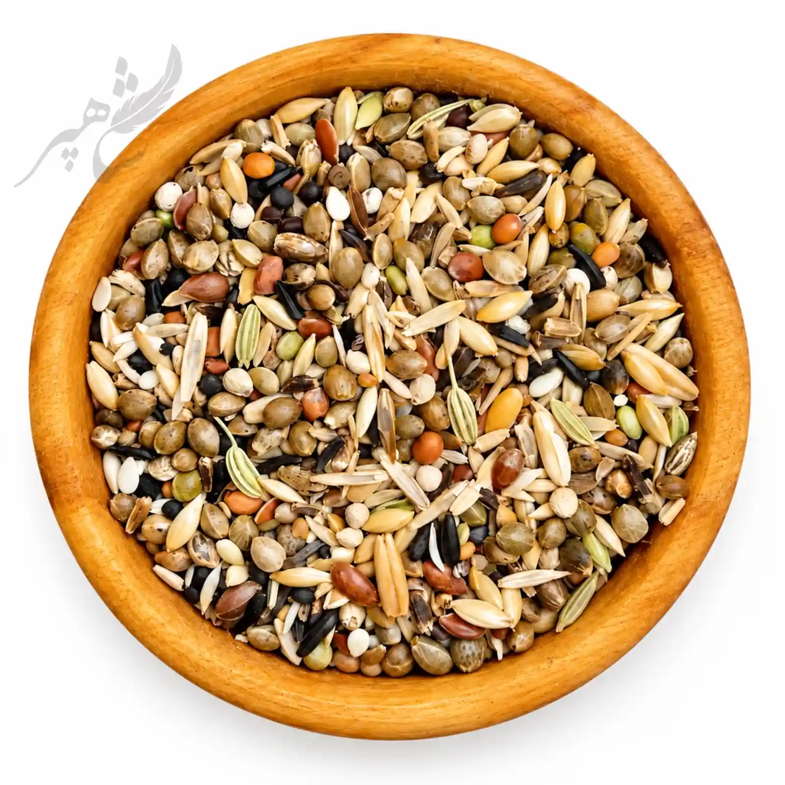IMG_0741 دان روزانه سهره
