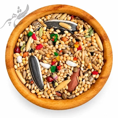 دان روزانه طوطیسانان