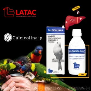 مزایای مصرف سرکه سیب برای پرندگان زینتی-آپدیت 1403 3 کبد چرب پرندگان