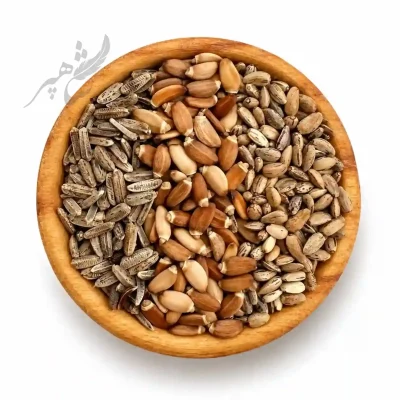 پک کبدشور گیاهی
