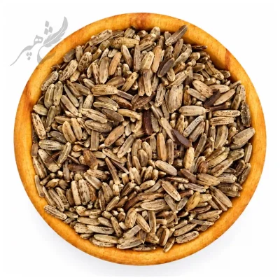 خواجه باشی