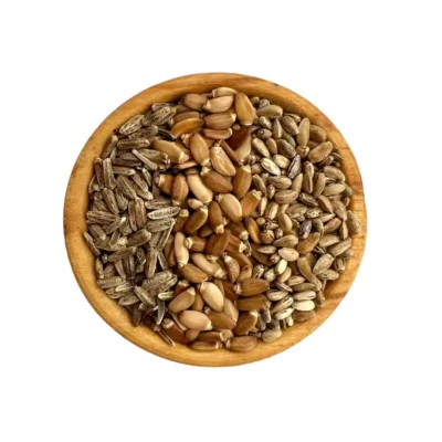 پک کبدشور گیاهی