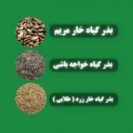 پک کبدشور گیاهی