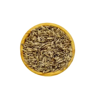 خواجه باشی
