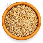 کتان و ارزن ریز