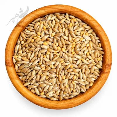 کتان و ارزن ریز