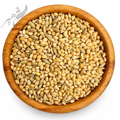 ارزن درشت