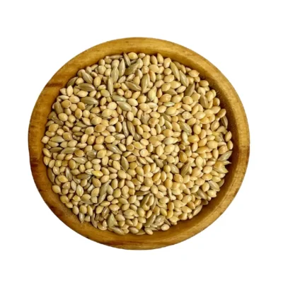 ارزن درشت