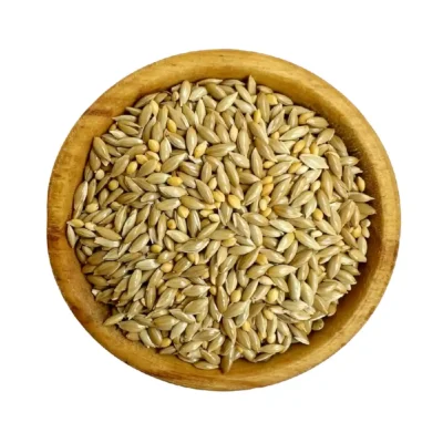 کتان و ارزن ریز