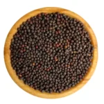 دانه یا تخم کلزا