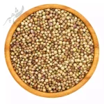 تخم گشنیز <br>(سورت لیزری)