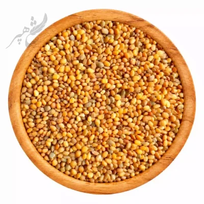 تخم منداب