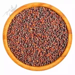 بذر شلغم قرمز