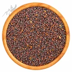بذر شلغم قرمز