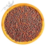 بذر شلغم قرمز