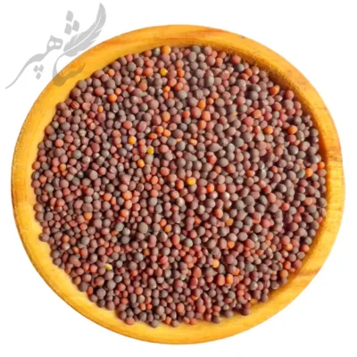 بذر شلغم قرمز