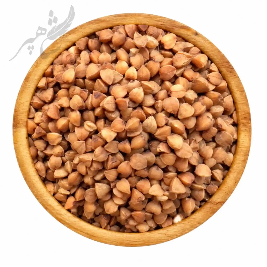 بذر باکویت