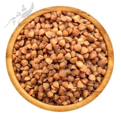 بذر باکویت
