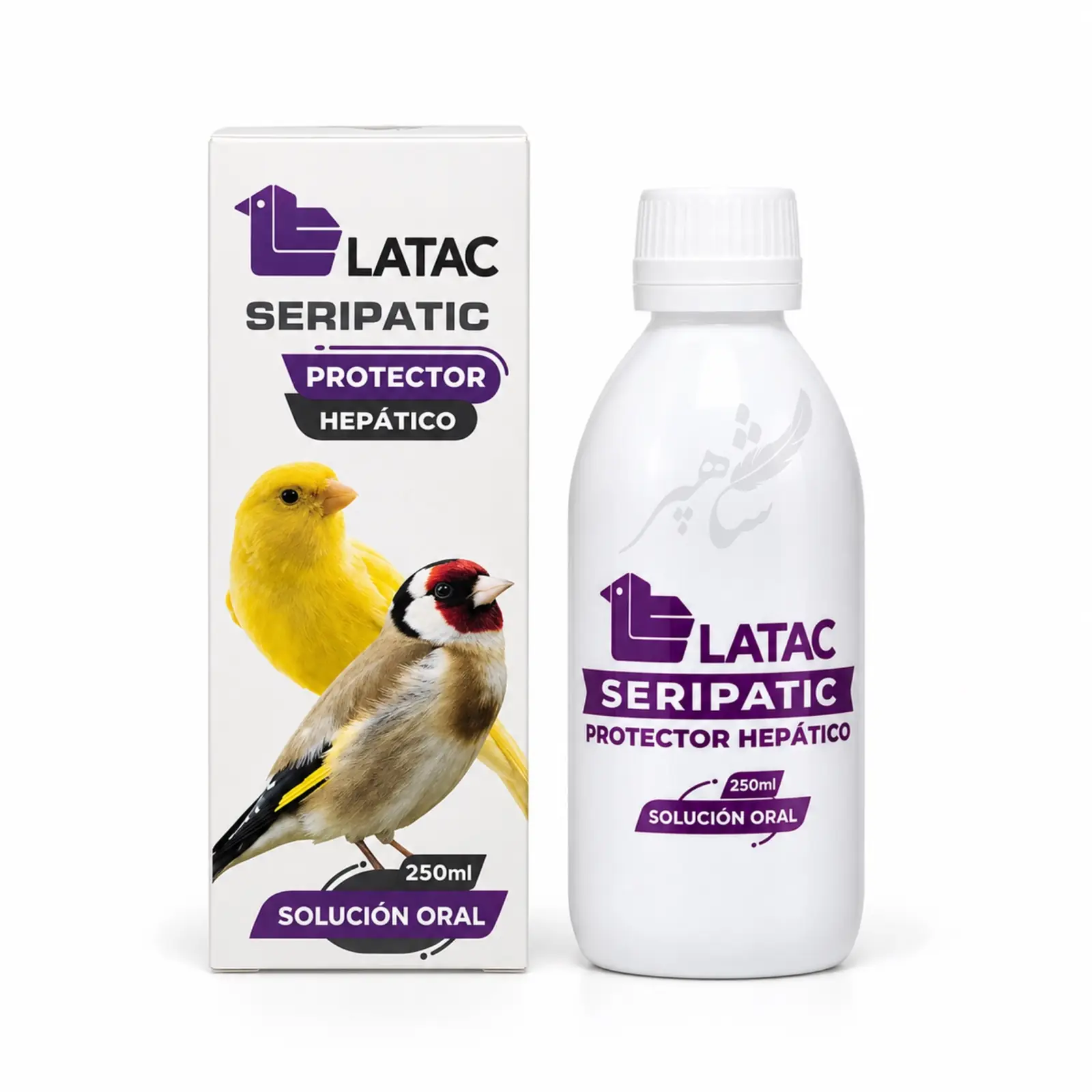 IMG_9051 کبدشور سری پاتیک لاتک SERIPATIC LATAC - تصویر 1