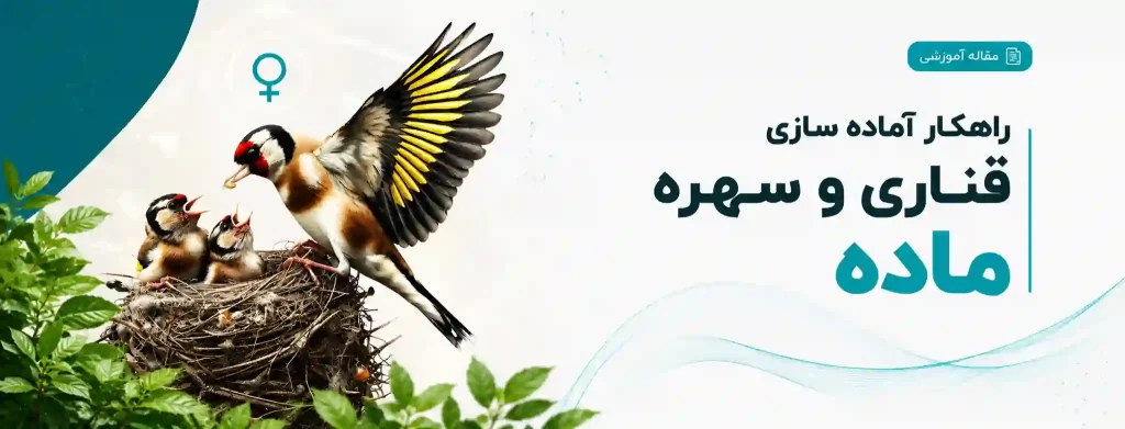 پت شاپ شاهپر
