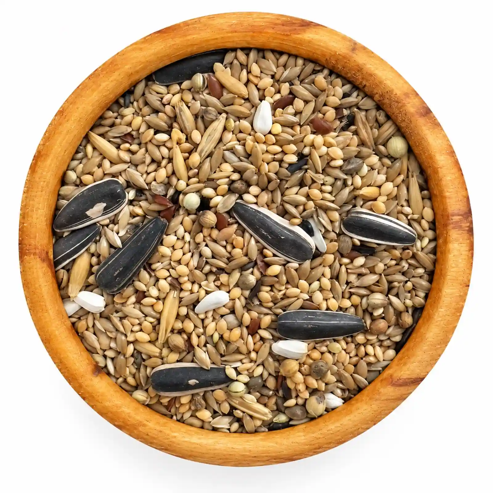 IMG_0291 دیلی میکس طوطی سانان