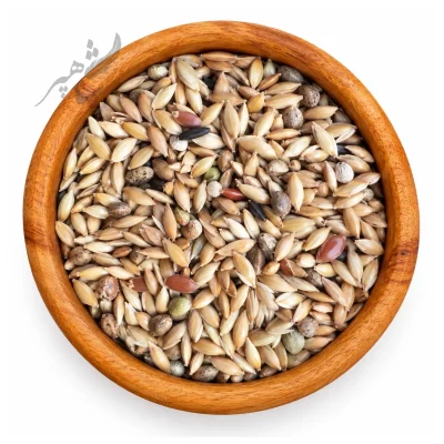 غذای روزانه سهره_قناری